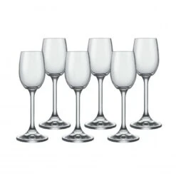 Lara Liqueur Glass Set Of 6