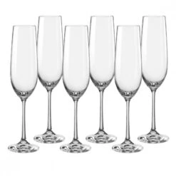Viola Flutes Glass Set Of 6 190ml