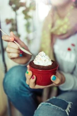 Emile Henry Ramekin Dish No9 Set Of 2 Clay 11 Emile Henry Ramekin Dish No9 Set Of 2 Clay -KitchenMaster 61Oxsf MVeL. AC SL1125