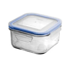 Square Tempered Glass Food Container